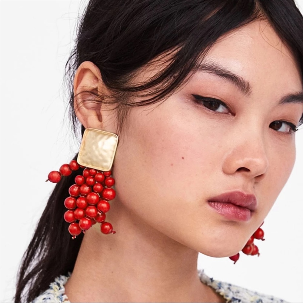 Earrings NWOT